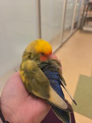 Moff animal cafe イオンモール幕張新都心店に投稿された画像（2025/11/13）