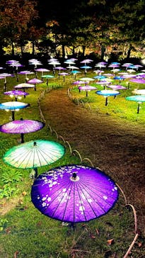 国営昭和記念公園 秋の夜散歩に投稿された画像（2025/11/14）