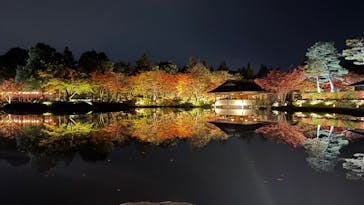 国営昭和記念公園 秋の夜散歩に投稿された画像（2025/11/14）