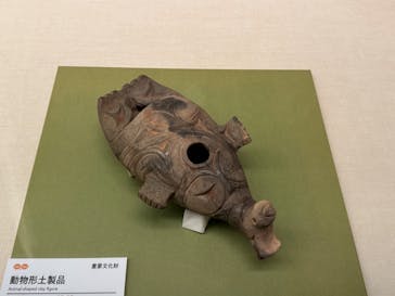 特別展　世界遺産　縄文に投稿された画像（2025/11/14）