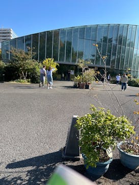 新宿御苑に投稿された画像（2025/11/14）