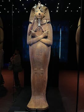 ACN ラムセス大王展 ファラオたちの黄金に投稿された画像（2025/11/14）