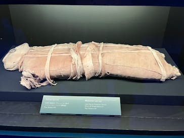 ACN ラムセス大王展 ファラオたちの黄金に投稿された画像（2025/11/14）