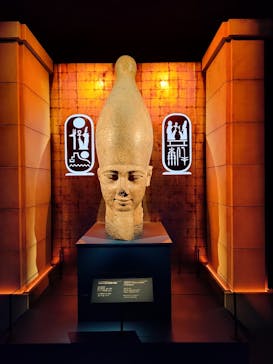 ACN ラムセス大王展 ファラオたちの黄金に投稿された画像（2025/11/14）