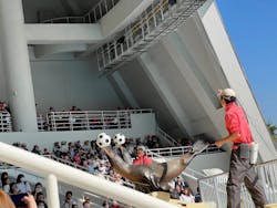 マリンワールド海の中道に投稿された画像（2025/11/14）