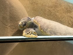 マリンワールド海の中道に投稿された画像（2025/11/14）