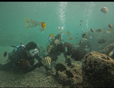 武藤潜水に投稿された画像（2025/11/14）