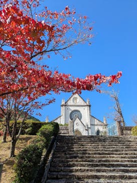 博物館 明治村に投稿された画像（2025/11/14）