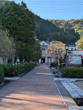 博物館 明治村に投稿された画像（2025/11/14）