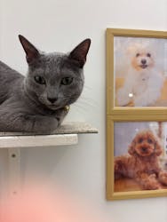 Moff アニマル カフェ イーアス 高尾店に投稿された画像（2025/11/14）