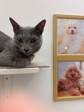 Moff アニマル カフェ イーアス 高尾店に投稿された画像（2025/11/14）