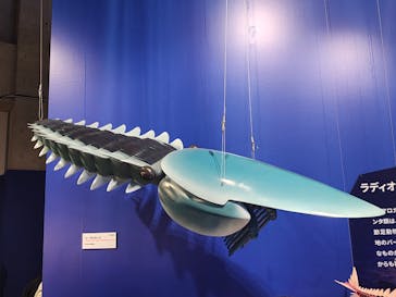 特別展「大絶滅展―生命史のビッグファイブ」に投稿された画像（2025/11/14）