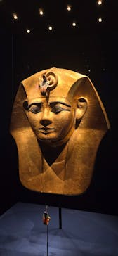 ACN ラムセス大王展 ファラオたちの黄金に投稿された画像（2025/11/14）