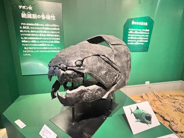 特別展「大絶滅展―生命史のビッグファイブ」に投稿された画像（2025/11/14）