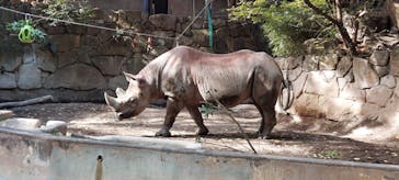 恩賜上野動物園に投稿された画像（2025/11/14）