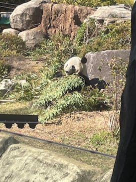 恩賜上野動物園に投稿された画像（2025/11/14）