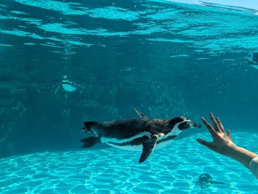 葛西臨海水族園に投稿された画像（2025/11/14）