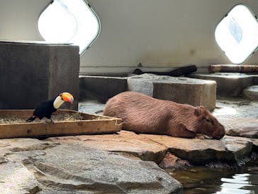 万博記念公園×NIFREL（ニフレル）×OSAKAWHEEL（オオサカホイール）×ららぽーとEXPOCITYに投稿された画像（2025/11/14）