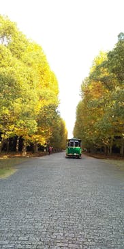 万博記念公園に投稿された画像（2025/11/14）