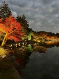 国営昭和記念公園 秋の夜散歩に投稿された画像（2025/11/14）