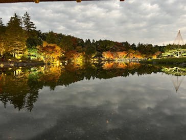 国営昭和記念公園 秋の夜散歩に投稿された画像（2025/11/14）