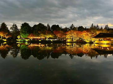 国営昭和記念公園 秋の夜散歩に投稿された画像（2025/11/14）