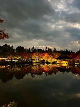 国営昭和記念公園 秋の夜散歩に投稿された画像（2025/11/14）