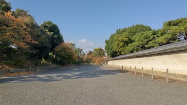 元離宮二条城に投稿された画像（2025/11/14）