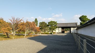 元離宮二条城に投稿された画像（2025/11/14）