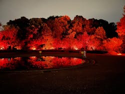 京都府立植物園　LIGHT CYCLES KYOTOに投稿された画像（2025/11/14）