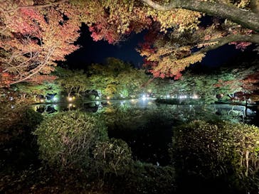 京都府立植物園　LIGHT CYCLES KYOTOに投稿された画像（2025/11/14）