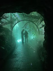 京都府立植物園　LIGHT CYCLES KYOTOに投稿された画像（2025/11/14）