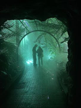 京都府立植物園　LIGHT CYCLES KYOTOに投稿された画像（2025/11/14）