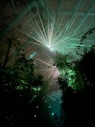 京都府立植物園　LIGHT CYCLES KYOTOに投稿された画像（2025/11/14）