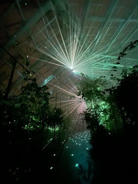 京都府立植物園　LIGHT CYCLES KYOTOに投稿された画像（2025/11/14）