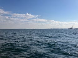 横浜・八景島シーパラダイス　プレジャーランドに投稿された画像（2025/11/14）