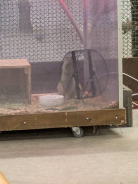 アニタッチ 東京ドームシティに投稿された画像（2025/11/14）