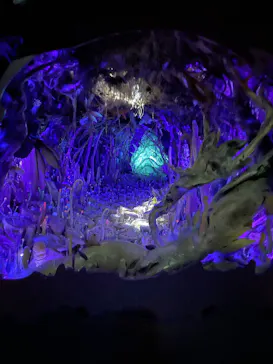 金曜ロードショーとジブリ展（静岡展）に投稿された画像（2025/11/14）