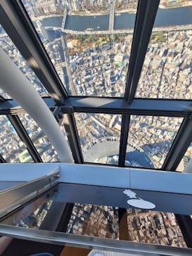 東京スカイツリーに投稿された画像（2025/11/14）