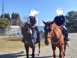 乗馬クラブ 千葉ライディングパークに投稿された画像（2025/11/14）