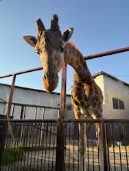 那須サファリパークに投稿された画像（2025/11/14）