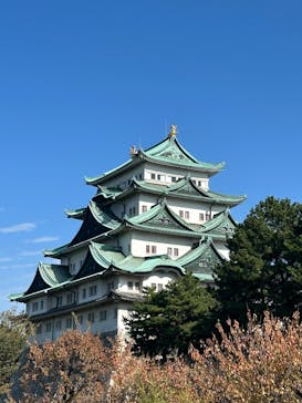 名古屋城に投稿された画像（2025/11/14）