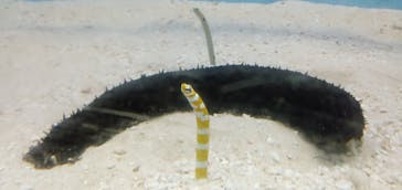 大分マリーンパレス水族館 「うみたまご」に投稿された画像（2025/11/14）