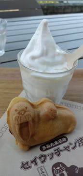 大分マリーンパレス水族館 「うみたまご」に投稿された画像（2025/11/14）