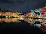 国営昭和記念公園 秋の夜散歩に投稿された画像（2025/11/14）