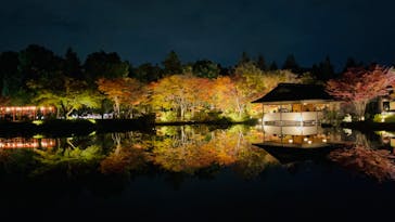 国営昭和記念公園 秋の夜散歩に投稿された画像（2025/11/14）