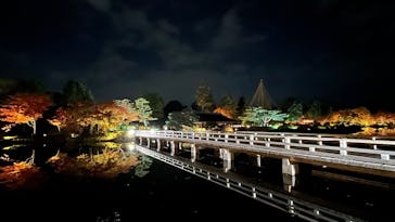 国営昭和記念公園 秋の夜散歩に投稿された画像（2025/11/14）