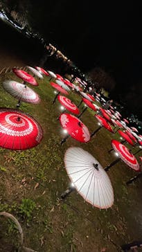 国営昭和記念公園 秋の夜散歩に投稿された画像（2025/11/14）