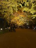 国営昭和記念公園 秋の夜散歩に投稿された画像（2025/11/14）