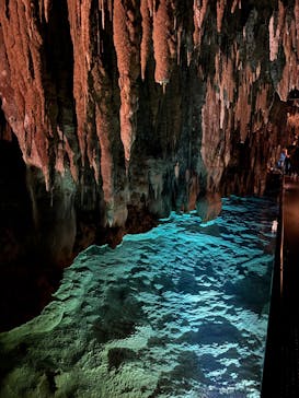 おきなわワールドに投稿された画像（2025/11/14）